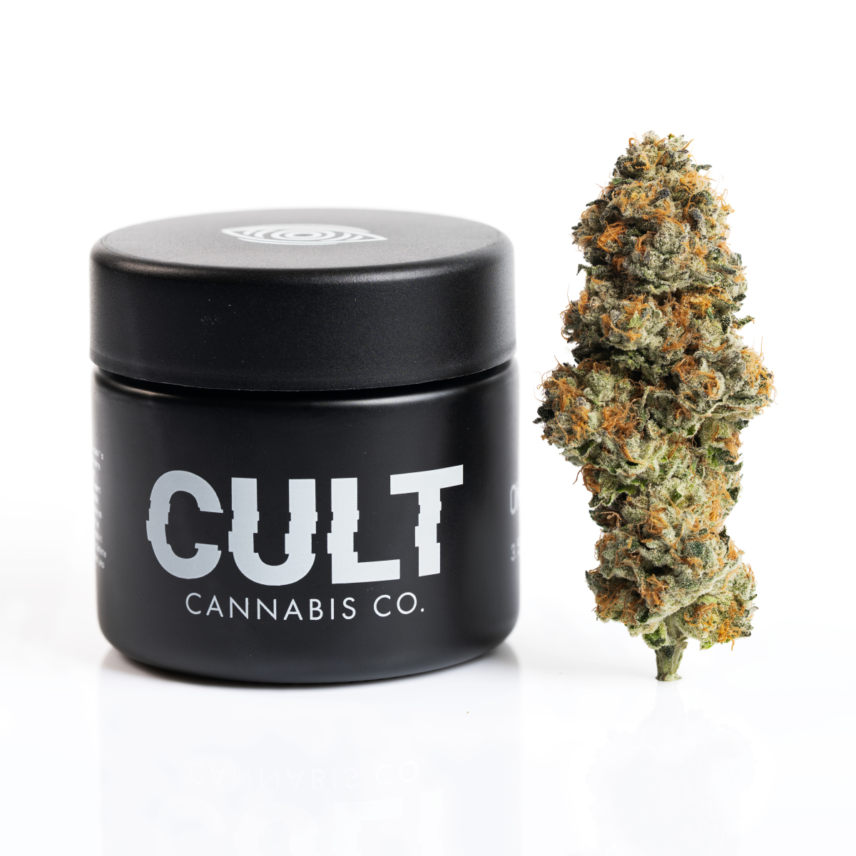 cult-coloredit-05-square