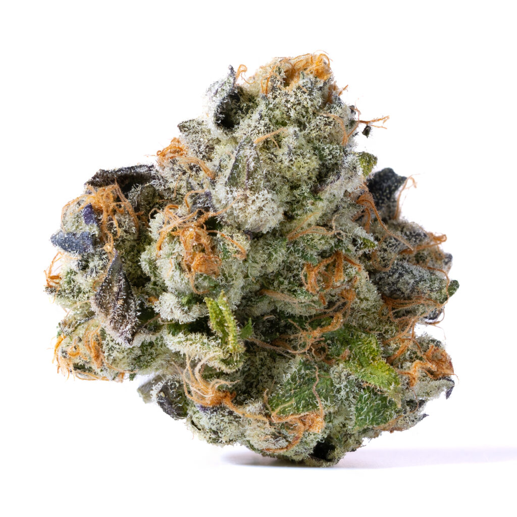 nug shots
