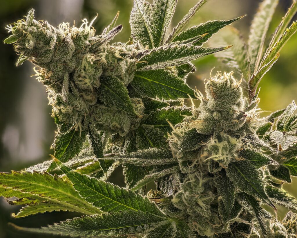 stacked from 4 images. method=c (s=1)