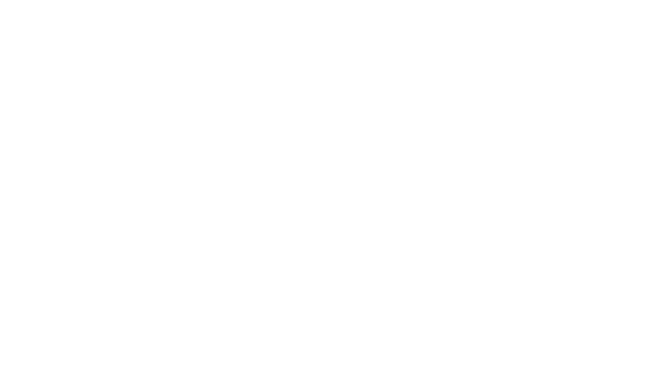 Professional Photographers of America member
